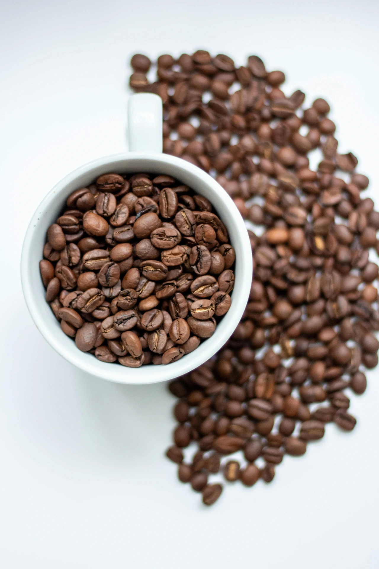 Apă & Cafea - descarcă ofertele